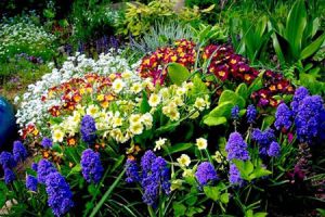 Многолетние садовые цветы, цветущие все лето: фото с названиями